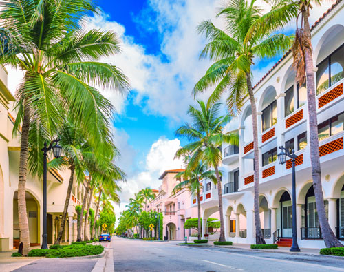 Pivot Up Consult Limited Educational consultant Florida
